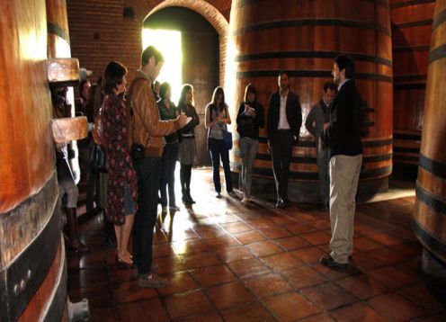 Vi�a Cousi�o Macul