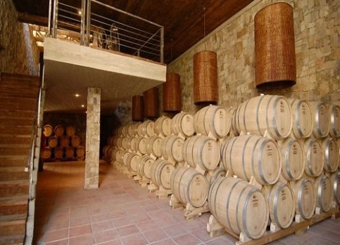 Tour Ruta del Pisco, visitando los Nichos y Capel. , 