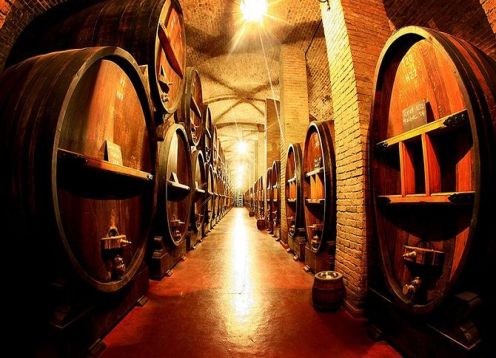 Tour del vino con almuerzo desde Mendoza. Mendoza, ARGENTINA