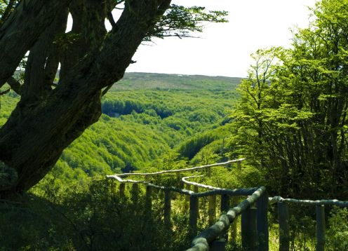 TREKKING EN RESERVA MAGALLANES. , 