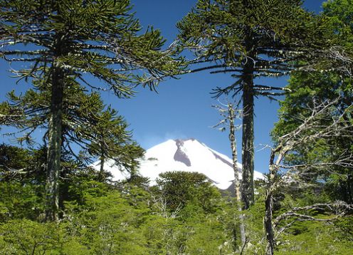 TREKKING PARQUE NACIONAL CONGUILLIO. , 