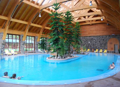 EXCURSION AL PARQUE PUYEHUE Y TERMAS DE AGUA CALIENTE. , 