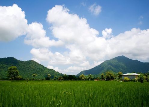 Tour privado de dia completo por Guayaquil y visita una plantacion de cacao. Guayaquil, ECUADOR
