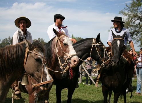 Dia de campo, como un Gaucho.  Campo Argentino. Buenos Aires, ARGENTINA