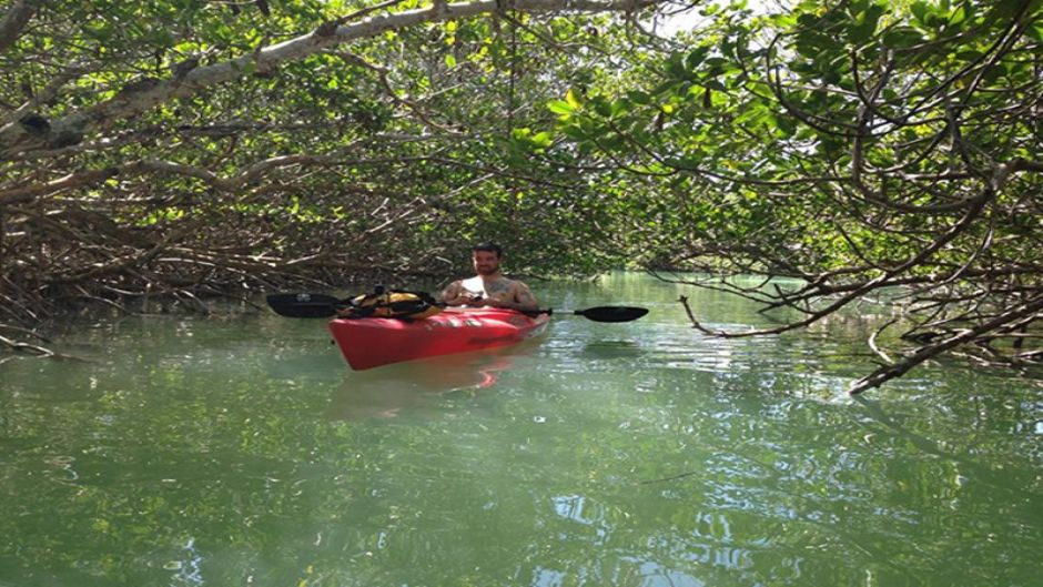 Tour por los manglares de Boquilla, Cartagena de Indias, COLOMBIA