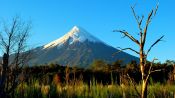 Tour VolcÃ¡n Osorno y Visita a cervecerÃ­a artesanal, Puerto Varas, CHILE